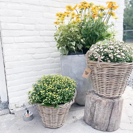 Nature Tilburg, 16 Beds Villa *