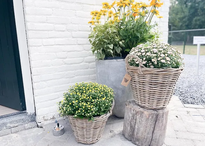 Nature Tilburg, 16 Beds 别墅 *