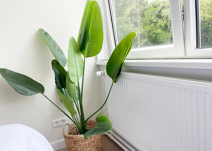 Βίλα Nature Tilburg, 16 Beds *